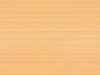 Leonardo da vinci flying mechanism 3D model