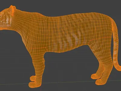 Siberian Tiger 3D model