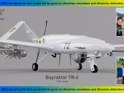  Baykar Bayraktar TB-2 HIGH QUALITY 3D PRINT MODEL 3D print model