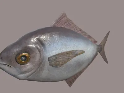 ButterFish fish Low-poly 3D model