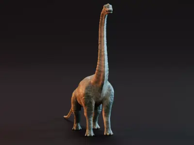 Brachiosaurus - Realistic Dinosaur 3D model