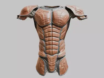 Medieval Body Armor Torso and Shoulder Pads Low-poly 3D model