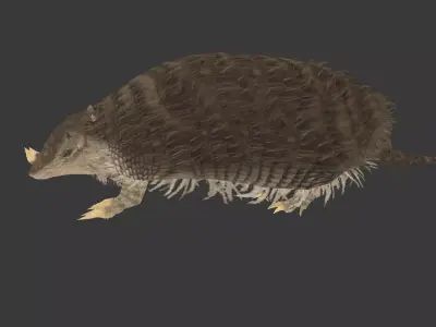 Peltephilus armadillo Low-poly 3D model