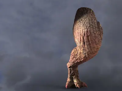 Dragon leg  Red Fin 3D model