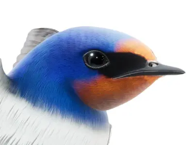 Barn Swallow Hirundo Rustica Low-poly 3D model