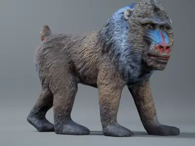 Mandrill baboon 3D model