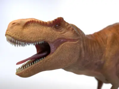 Tyrannosaurus Rex 3D model