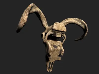 Goat Skull Low-poly 3D model