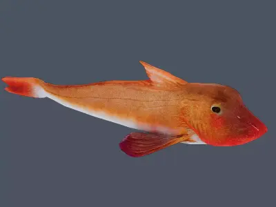 Red rockfish Low-poly 3D model