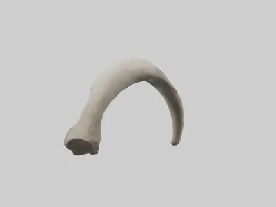 Elephant Femur Low-poly 3D model