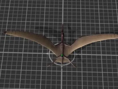 Pterodactyl Asset Pack Low-poly 3D model