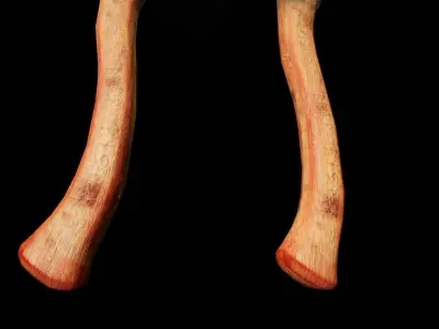 Viking Axe Pack-1 Low-poly 3D model