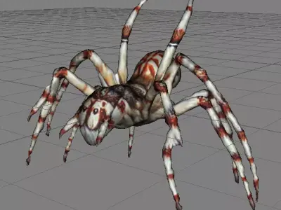 spooky scary white spider 3D print model