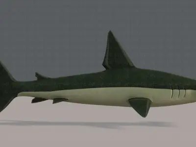 Shark V02 Low-poly 3D model