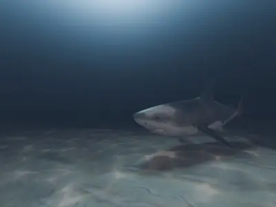 Caustic Shader for Blender Low-poly 3D model