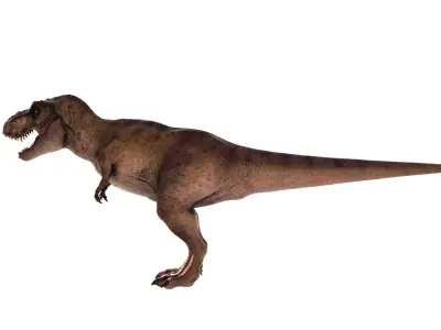 Tyrannosaurus Rex 3D Model  Fully Animated 160 Pro Animations    3D model