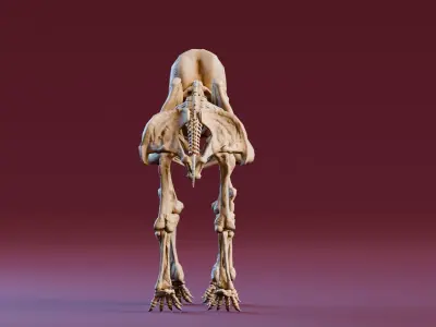 Realistic Mammals Fossil - Mammoth Low-poly 3D model