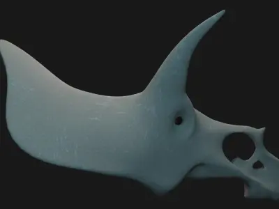 Triceratops skull 3D model