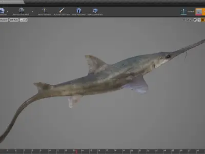 Saw Shark Low-poly 3D model
