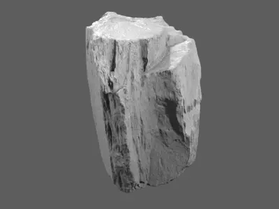 Scanned Cliff Rock 53 3D model