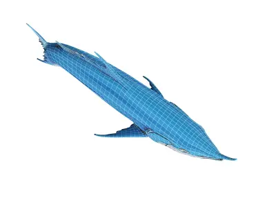 Bluefin tuna Low-poly 3D model
