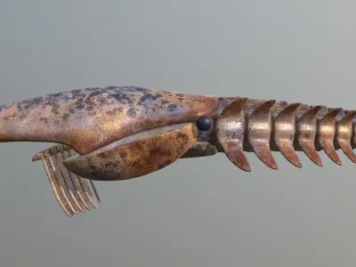 Aegirocassis benmoulae 3D model