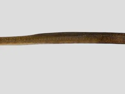 Giant Mottled Eel Realistic Animated Low-poly 3D model