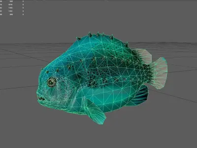 Lumpfish Low-poly 3D model