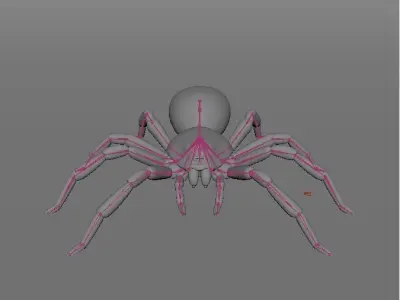 Tarantula Brazilian Pinkbloom Low-poly 3D model