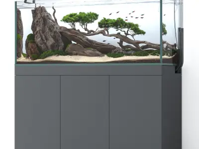 Aquascape aquarium Nature 3D model