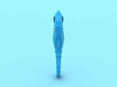 laos seahorse Low-poly 3D model