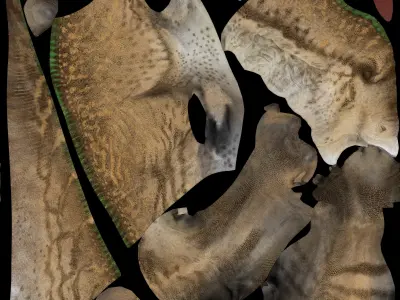 Edmontosaurus annectens Low-poly 3D model