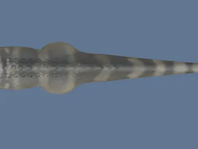 Parasaurolophus walkeri - Rig 3D model