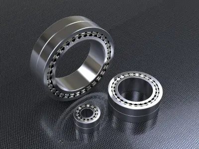 SKF Needle Roller Bearings Free 3D model