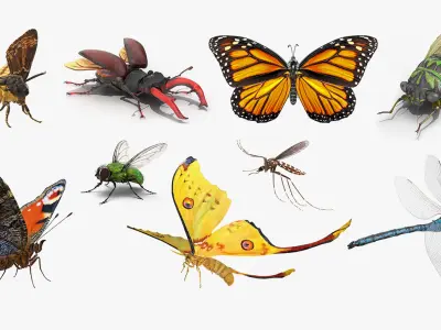 Rigged Flying Insects Collection 4 for Cinema 4D 3D model