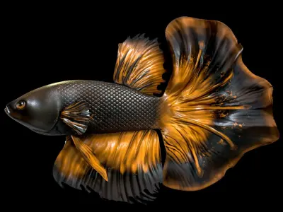 Betta fish Low-poly 3D model