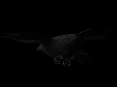 Realistic Animated Crow 3D model