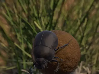 Dung Beetle Low-poly 3D model