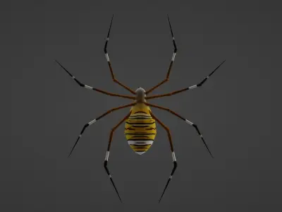 ANIMATED TIGER SPIDER Low-poly 3D model