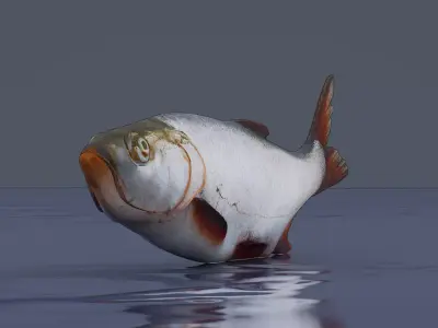 White fish Low-poly 3D model