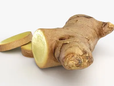 Fresh Ginger Root Slices 2 3D model