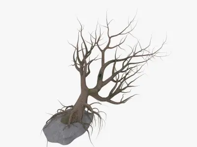 Old Tree 3D model purchase