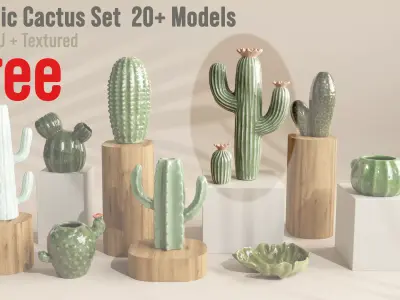 Free Ceramic Cactus Flower Decor  FBX   OBJ  Textured Free low-poly 3D model