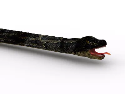 Snake 3D model