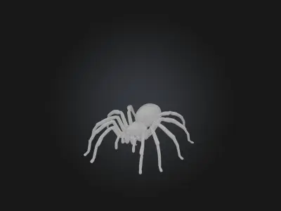 Realistic Spider Model Low-poly 3D model
