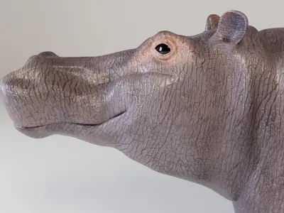 Hippopotamus 3D model