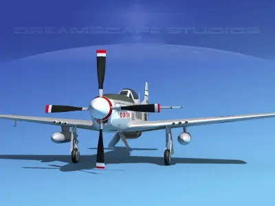 P-51D Mustang Six Gun Texan 3D model