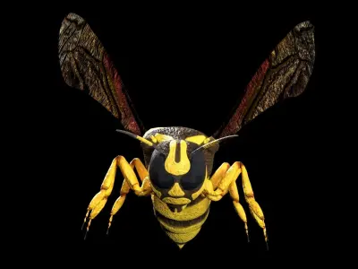 wasp low poly and fully rigged Low-poly 3D model