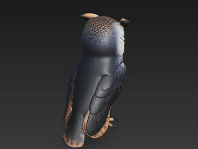 Owl Wild 3D Model Basic - Low Poly Simple Low-poly 3D model