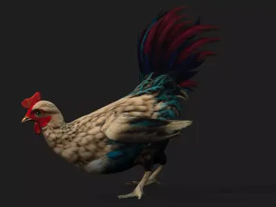 Chicken A4 Free 3D model